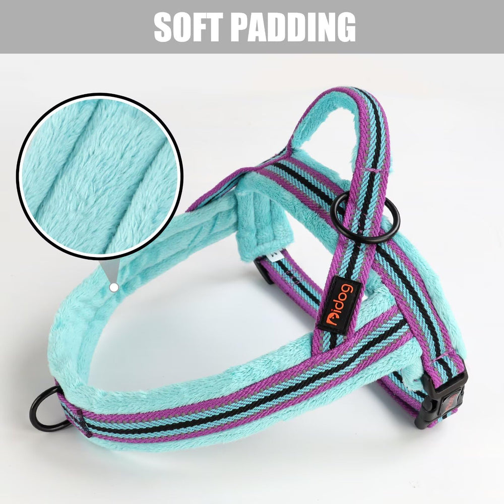 Didog harness front D-ring detail for controlled pulls