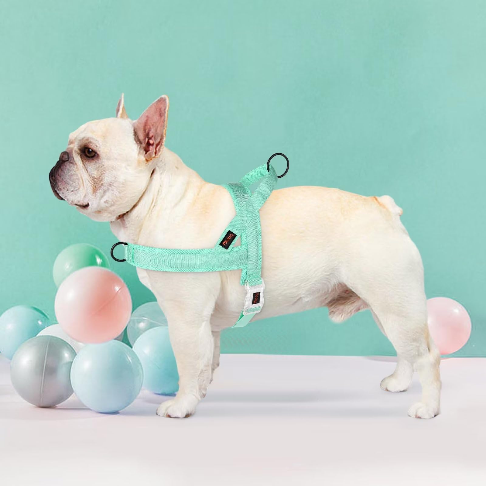 Didog No Pull Harness back O-ring green ideal for casual walking and everyday adventures.