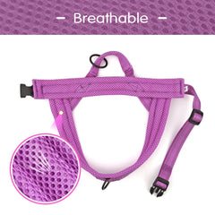Didog No Pull Harness quick-fit one-buckle design for simple on-off