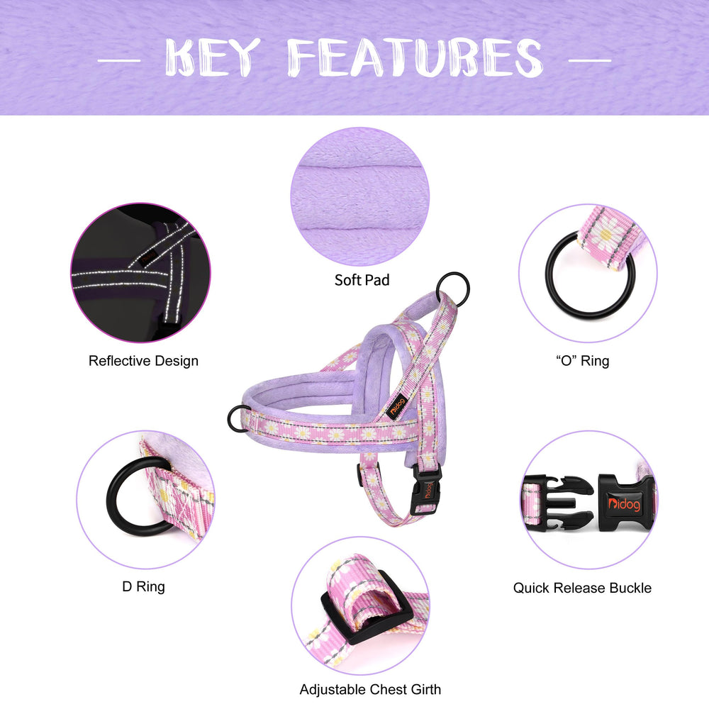 Didog no-pull harness quick-release buckle enables fast on/off