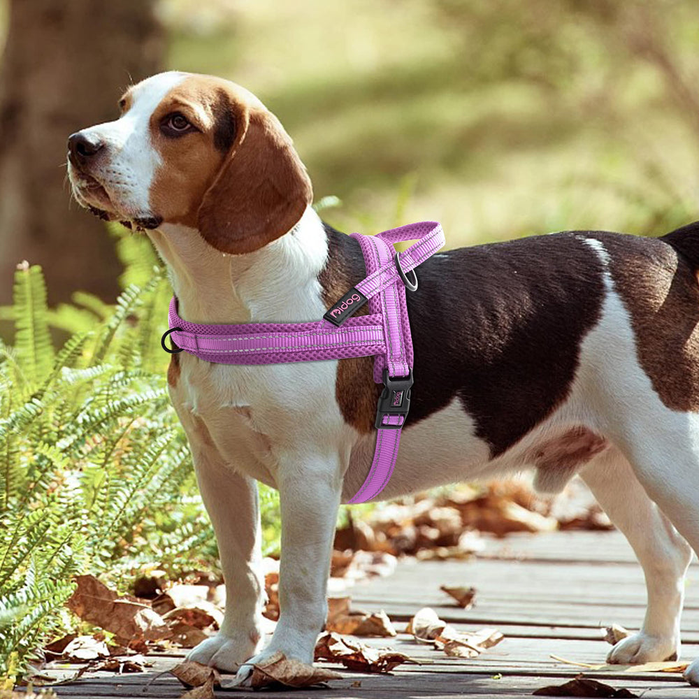 Didog No Pull Harness soft padding stabilizes during pulling