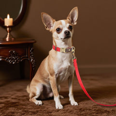 Didog nylon liner close-up highlights skin-friendly comfort for all-day wear