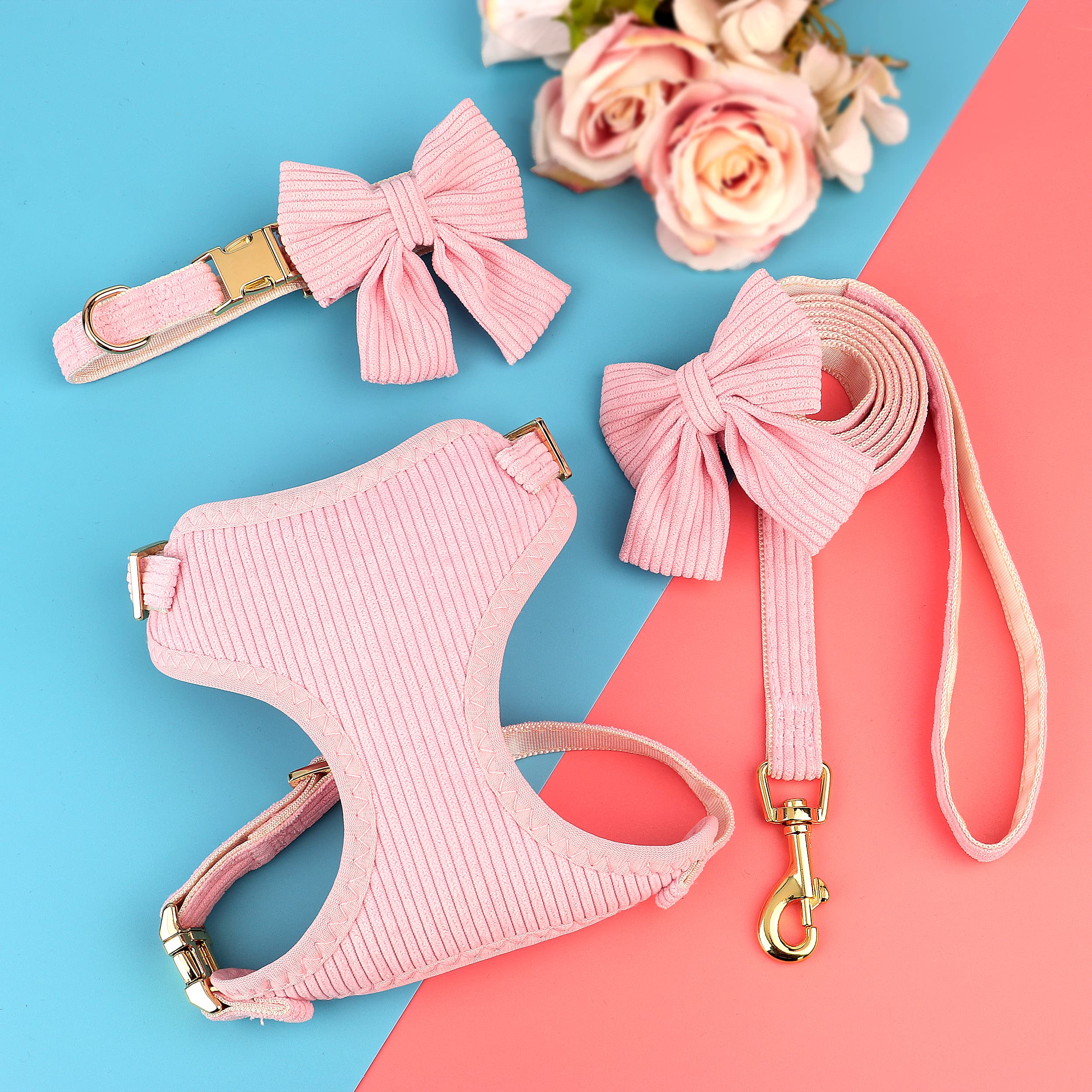 Didog petite dog gift set ideal for new puppy gifting