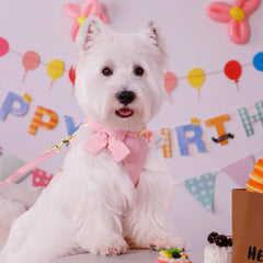 Didog pink bowtie collar adjustable for small dogs and comfort.