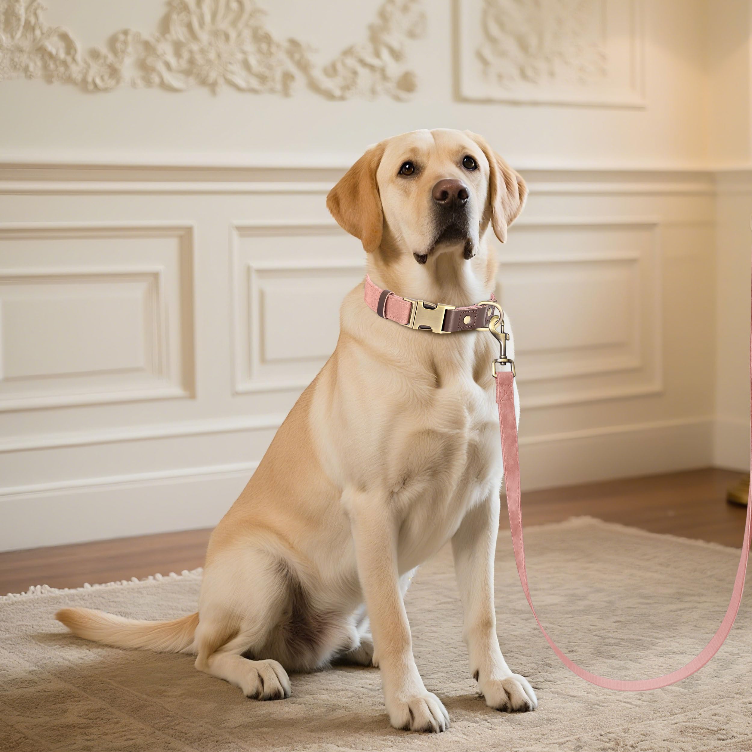 Didog PU-leather easy-clean dog collar pink detail emphasizes wipe-clean convenience