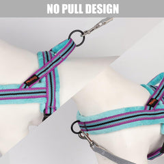 Didog quick-fit one-buckle design for easy on/off