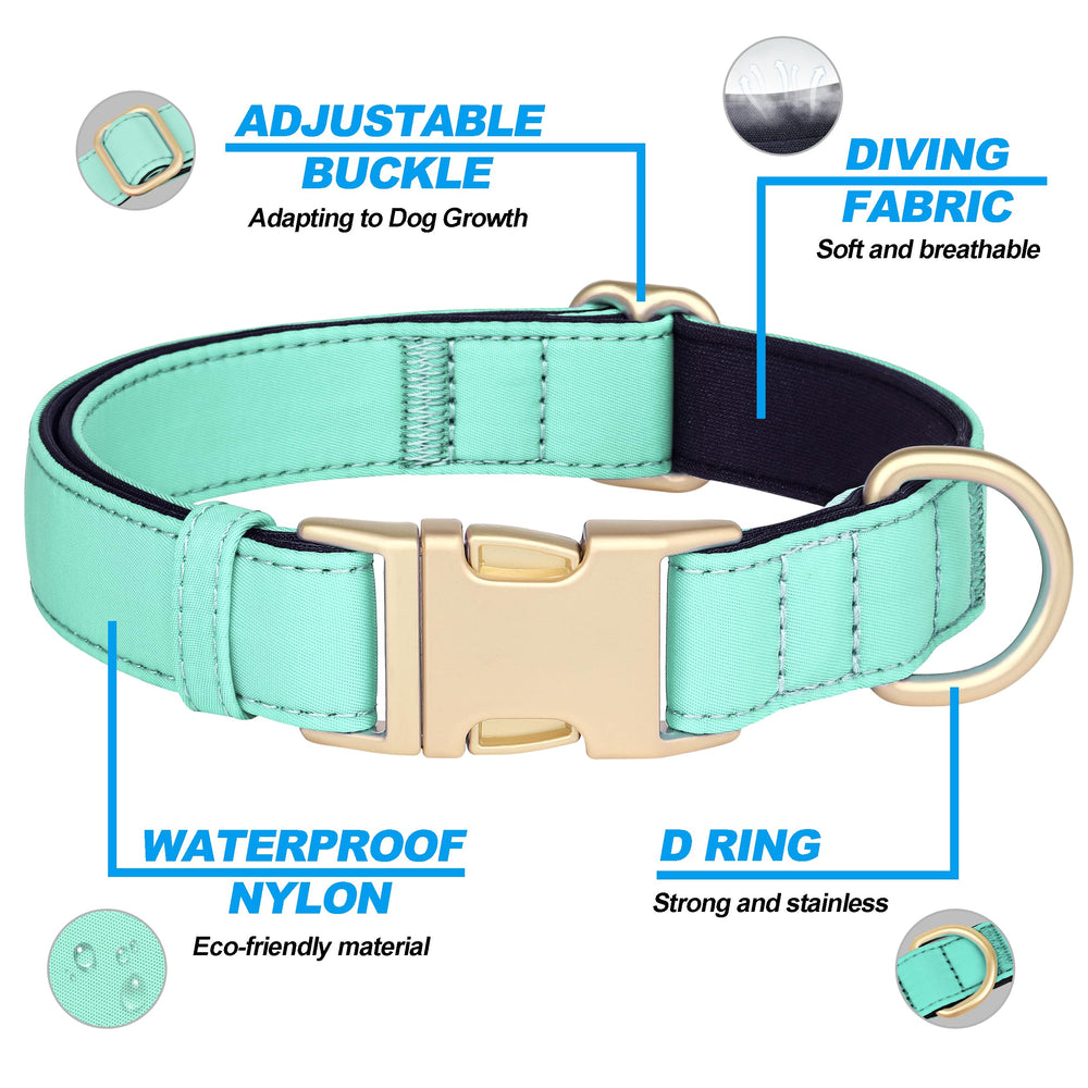 Didog quick-release buckle on pink collar enables easy on/off during activities