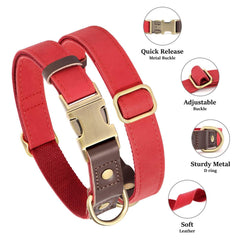 Didog quick-release buckle close-up shows easy on/off for daily changes