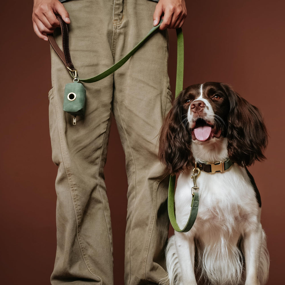 Didog fast-release metal buckle on green collar enables quick on-off during busy days.