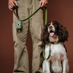Didog fast-release metal buckle on green collar enables quick on-off during busy days.
