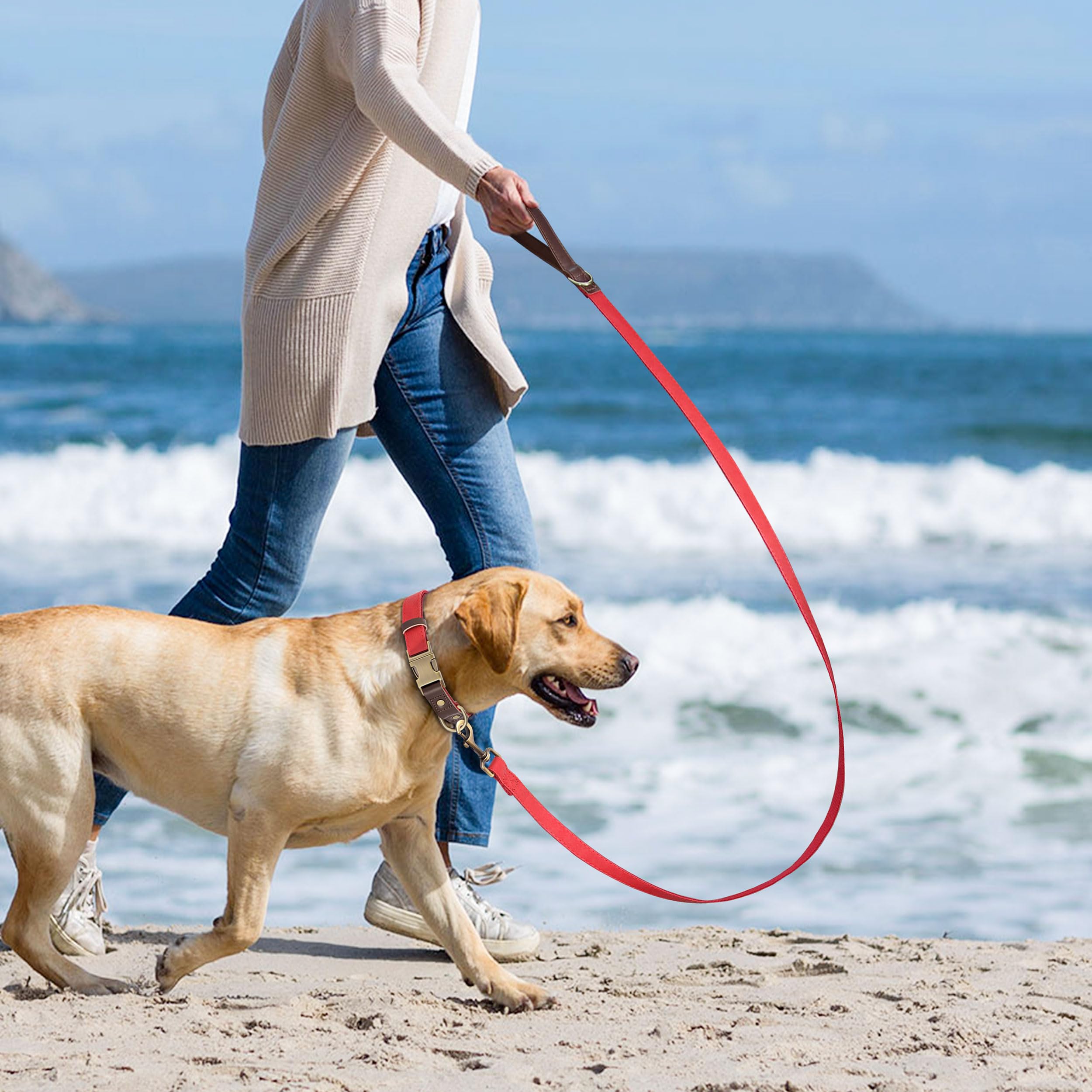 Didog quick-release metal buckle red dog collar ready for easy on/off