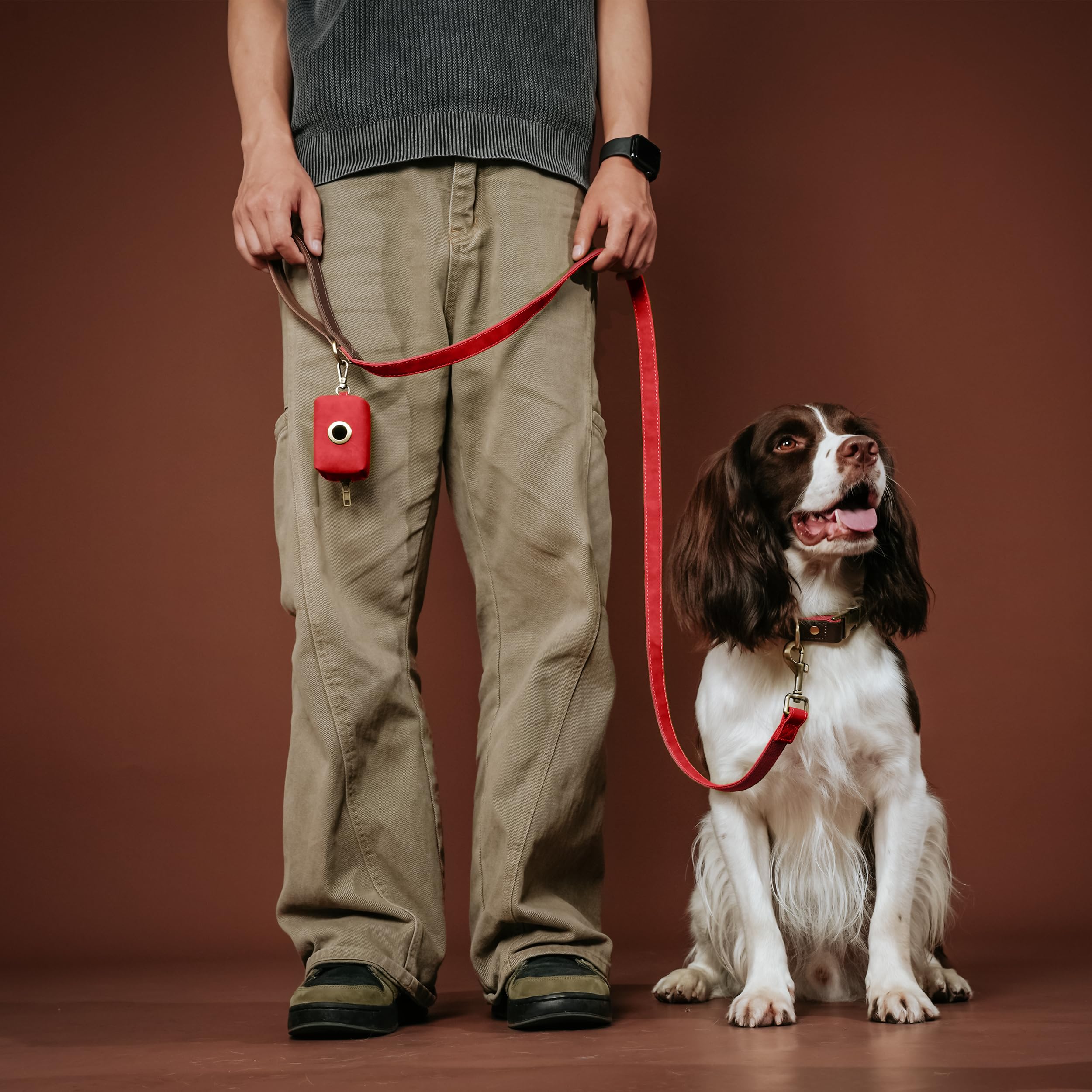 Didog red collar features rust-proof metal D-ring for secure leash attachment