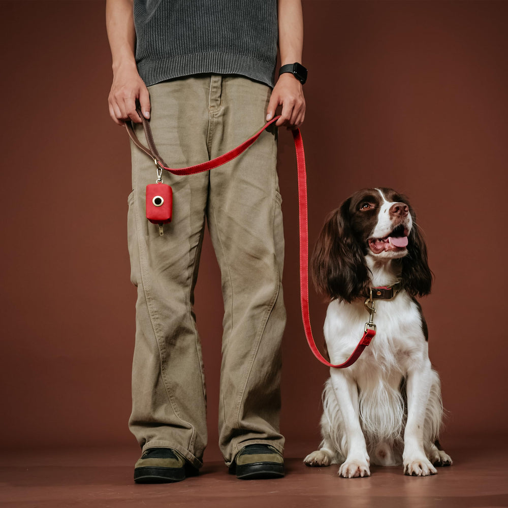 Didog red collar features rust-proof metal D-ring for secure leash attachment