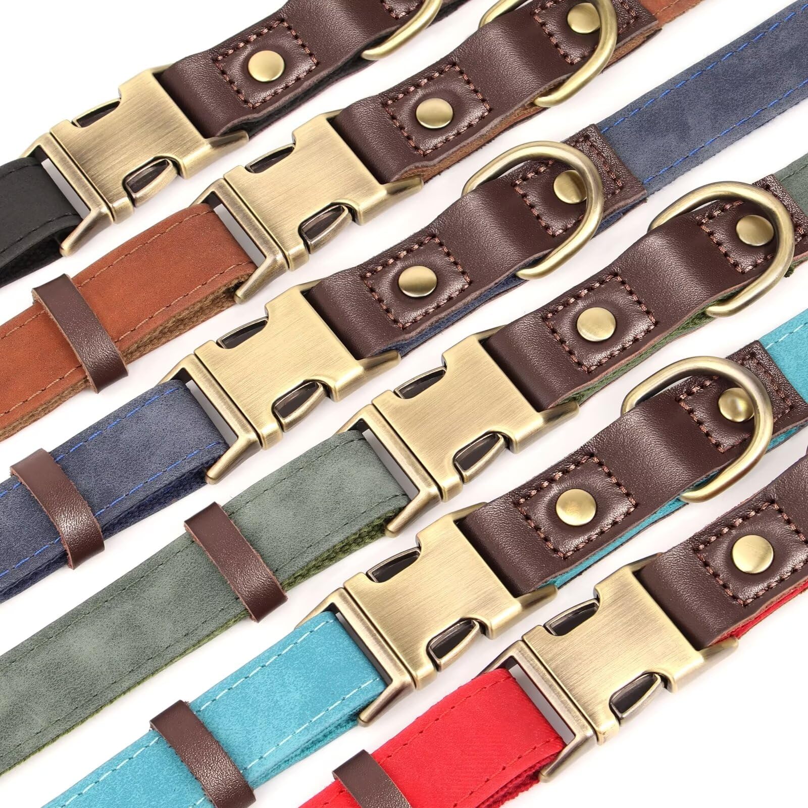 Didog red collar shown on a walking dog for daily adventures