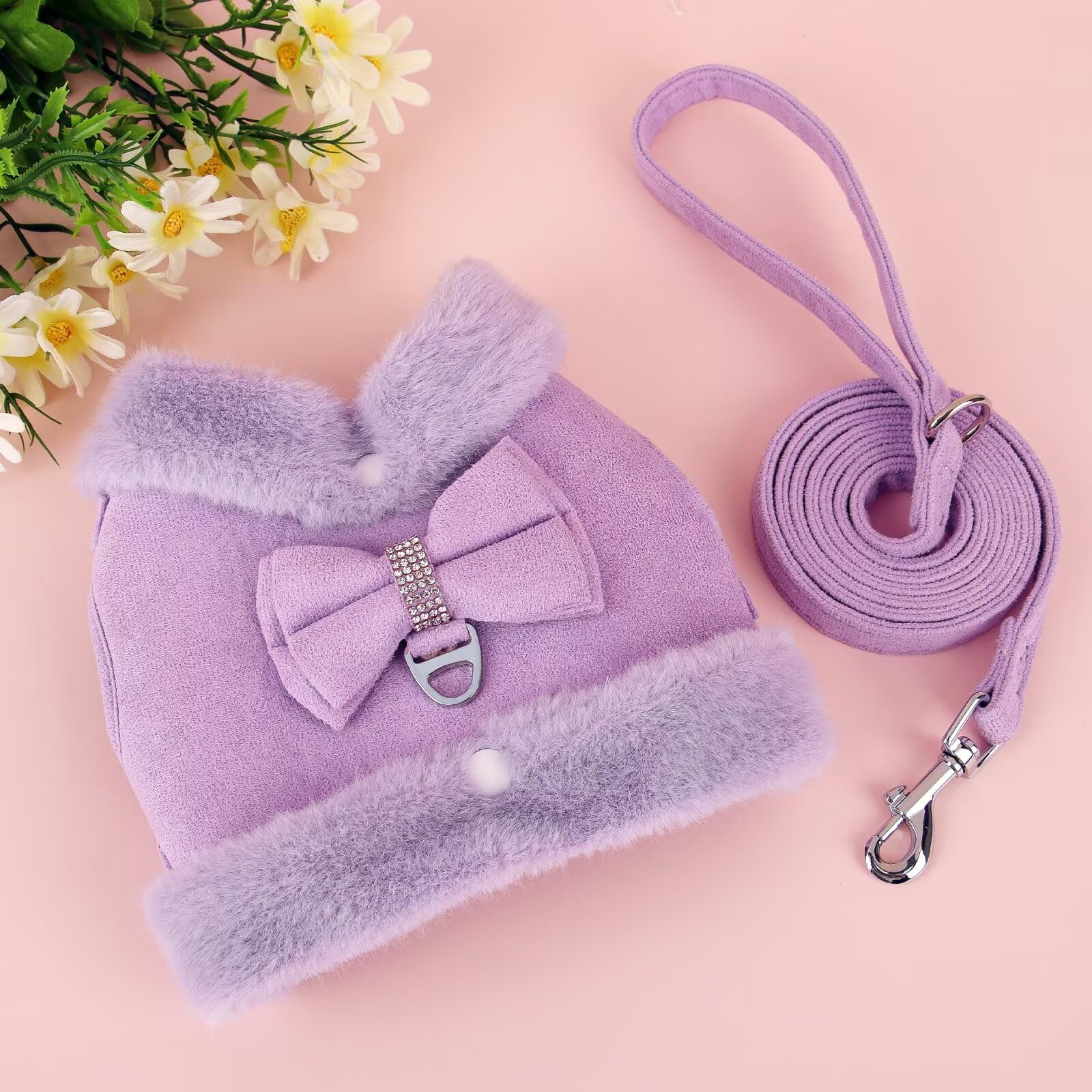 Didog small-breed friendly design fits chihuahuas pomeranians and shih tzu