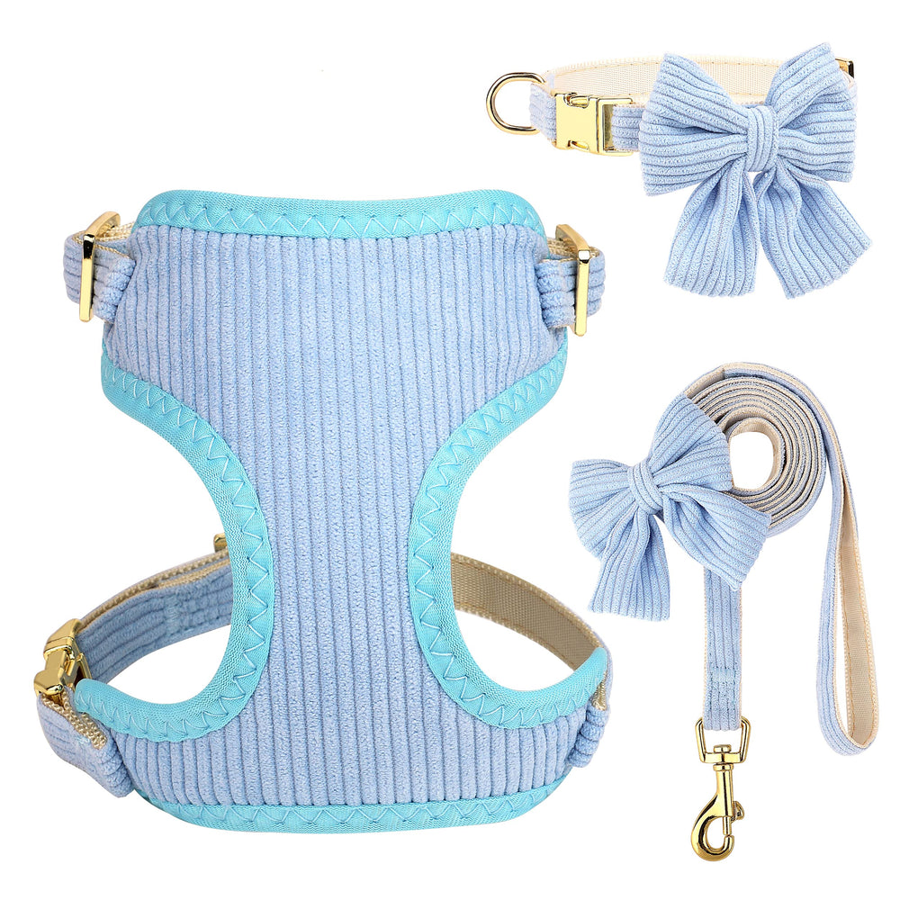 Didog small dog harness with blue bowtie offers comfy daily wear during walks.
