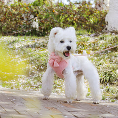 Didog plush mesh inner lining keeps the dog cool and comfortable.