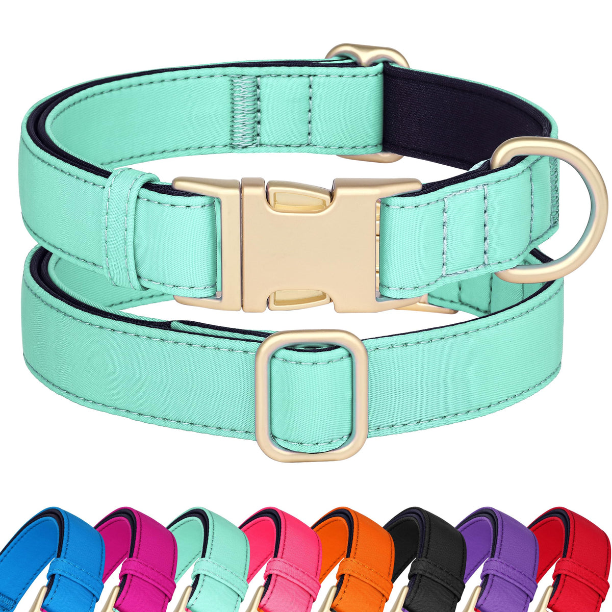 Didog soft padded collar teal close-up showing comfort for daily walks