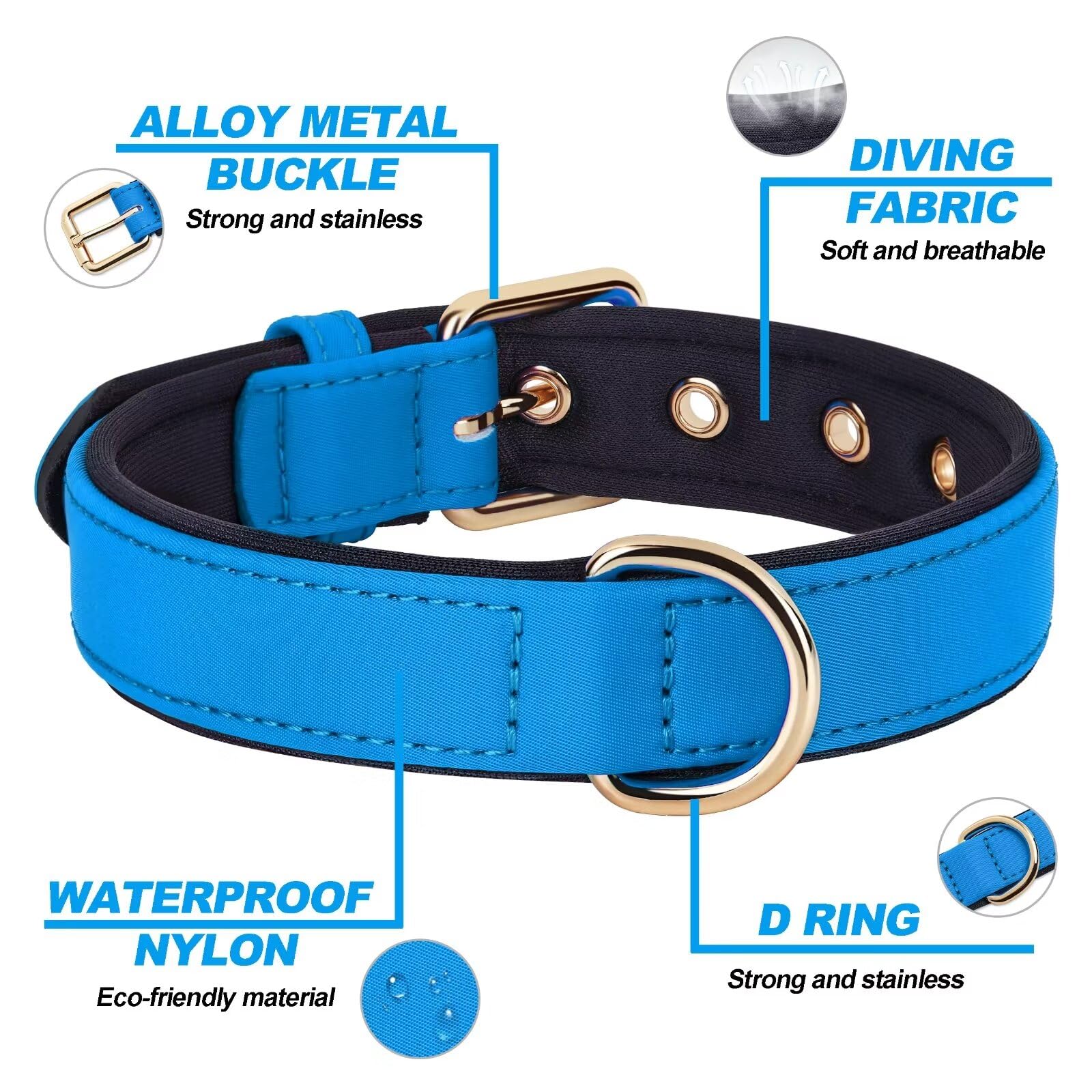 Didog blue padded collar showing adjustable holes for perfect fit