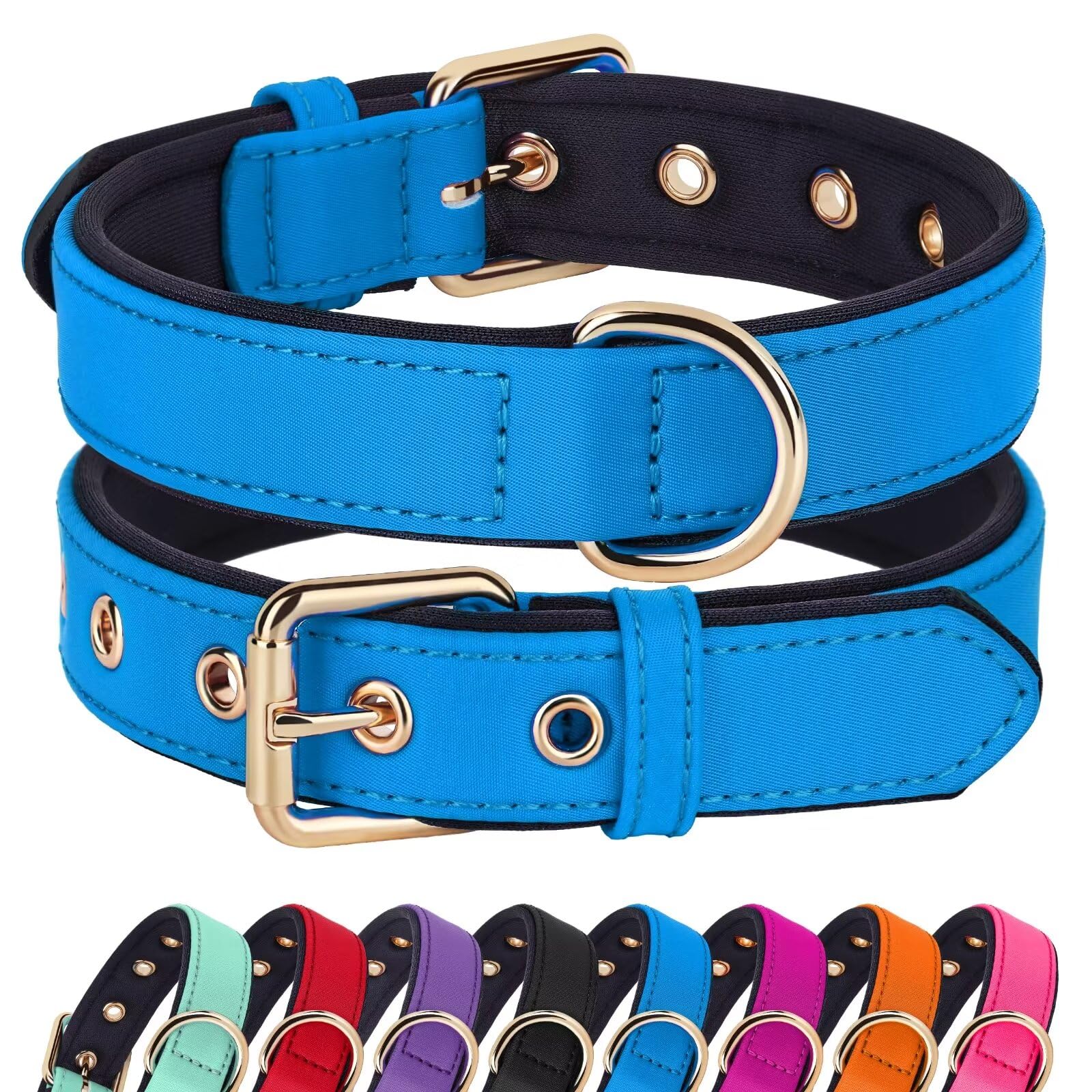 Didog soft padded collar blue with metal buckle for secure small-dog walks
