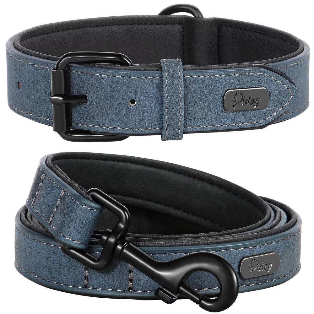 Didog soft padded leather collar blue for comfortable daily walks.