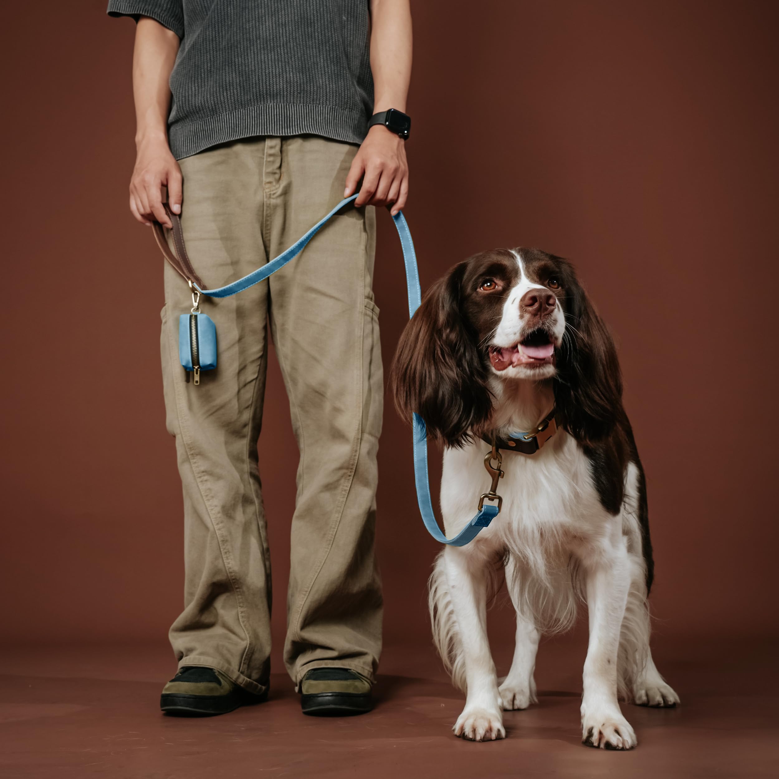 Didog D-ring leash attachment on denim blue collar
