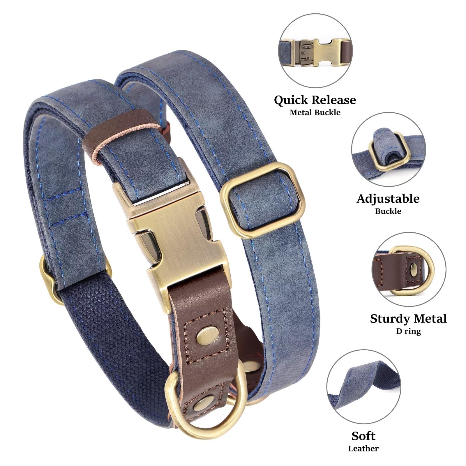 Didog blue collar side strap detail highlights comfort and durability for active dogs