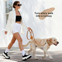 Didog soft PU leather dog collar with sturdy D-ring for leash attachment