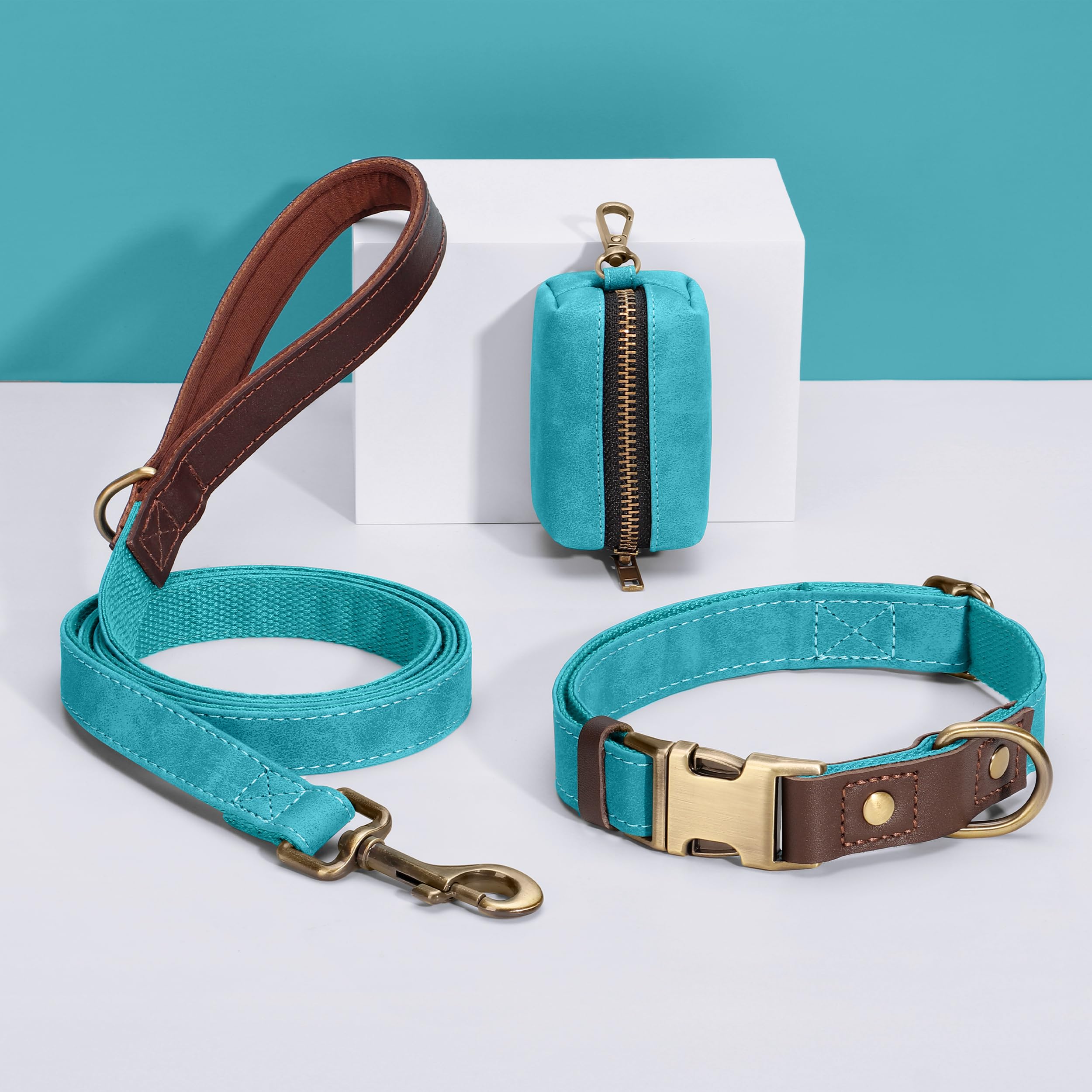 Didog blue D-ring with rust-proof hardware for secure walks
