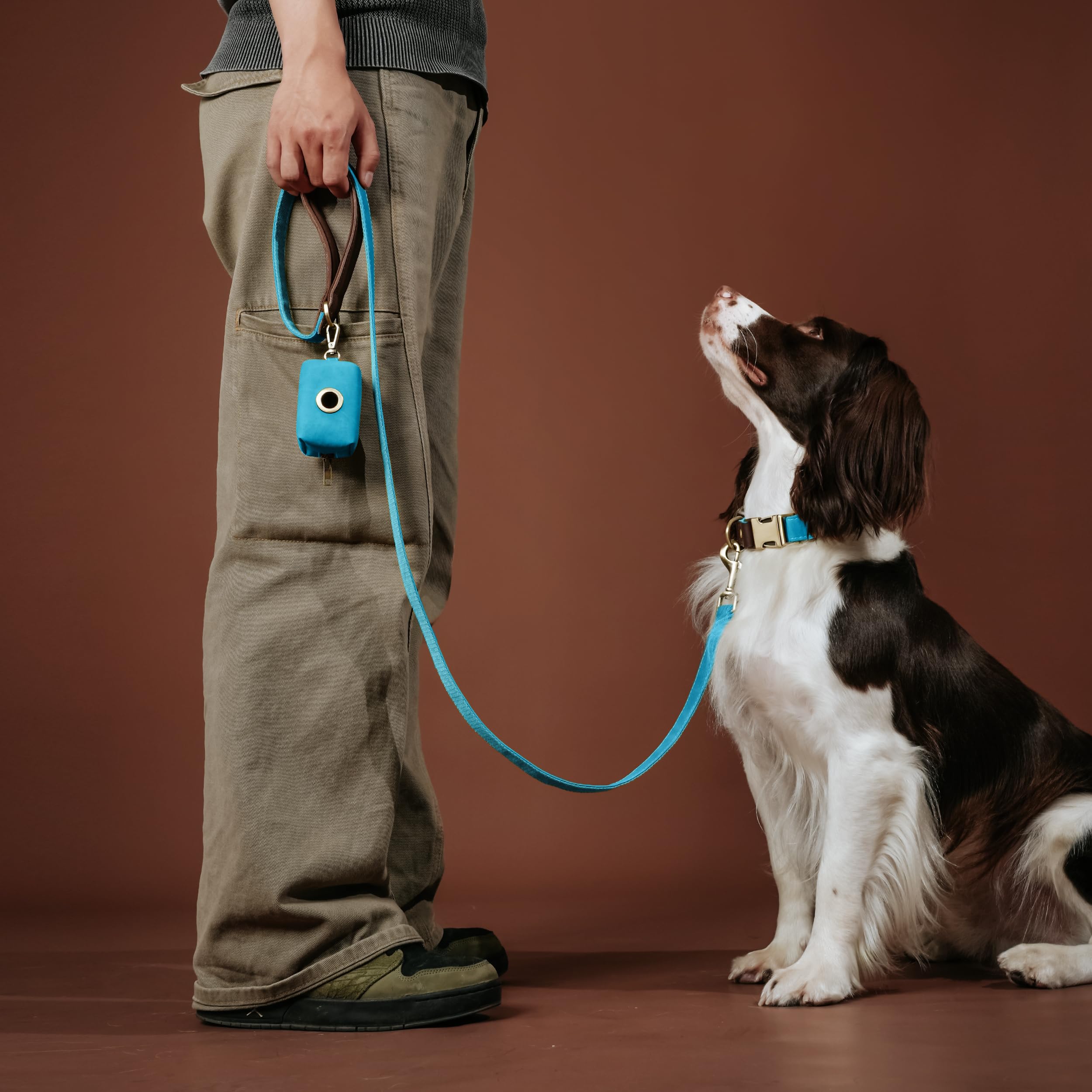 Didog blue quick-release buckle on durable collar for quick on/off