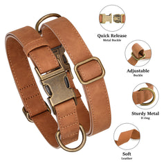 Didog soft PU leather dog collar on large dog during a walk