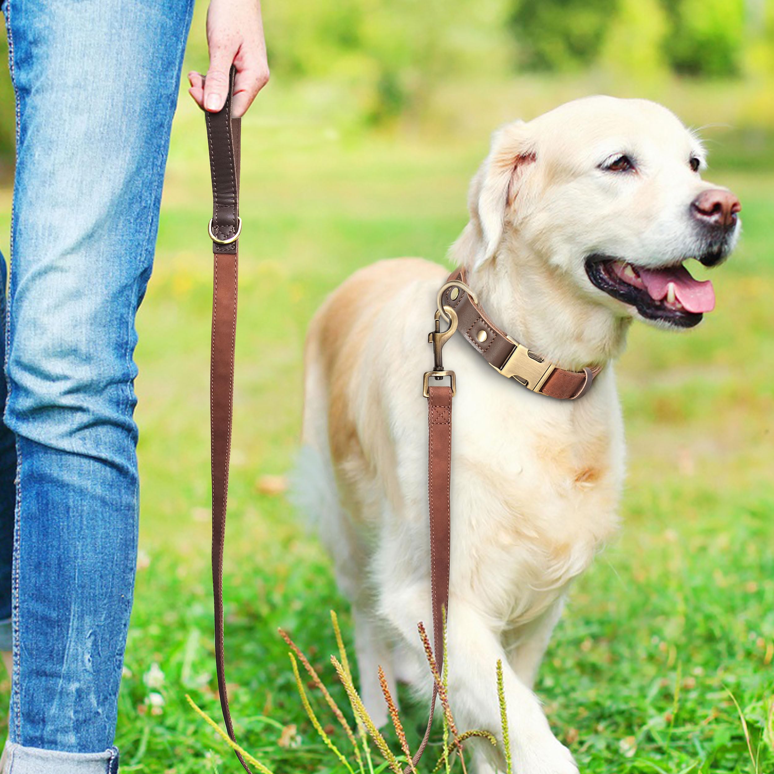 Didog collar with nylon lining highlighting skin-friendly comfort for long wear.