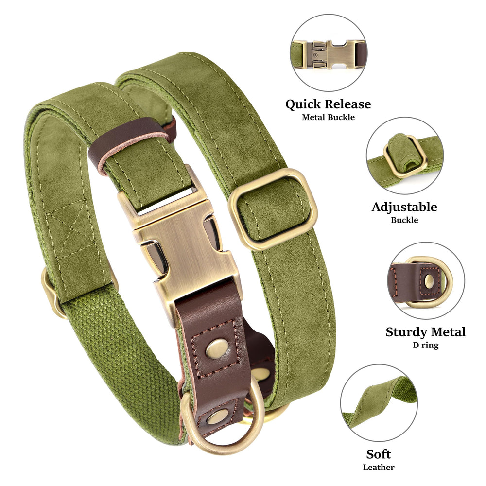 Didog olive-green collar with leash attachment and rust-resistant hardware for daily walks