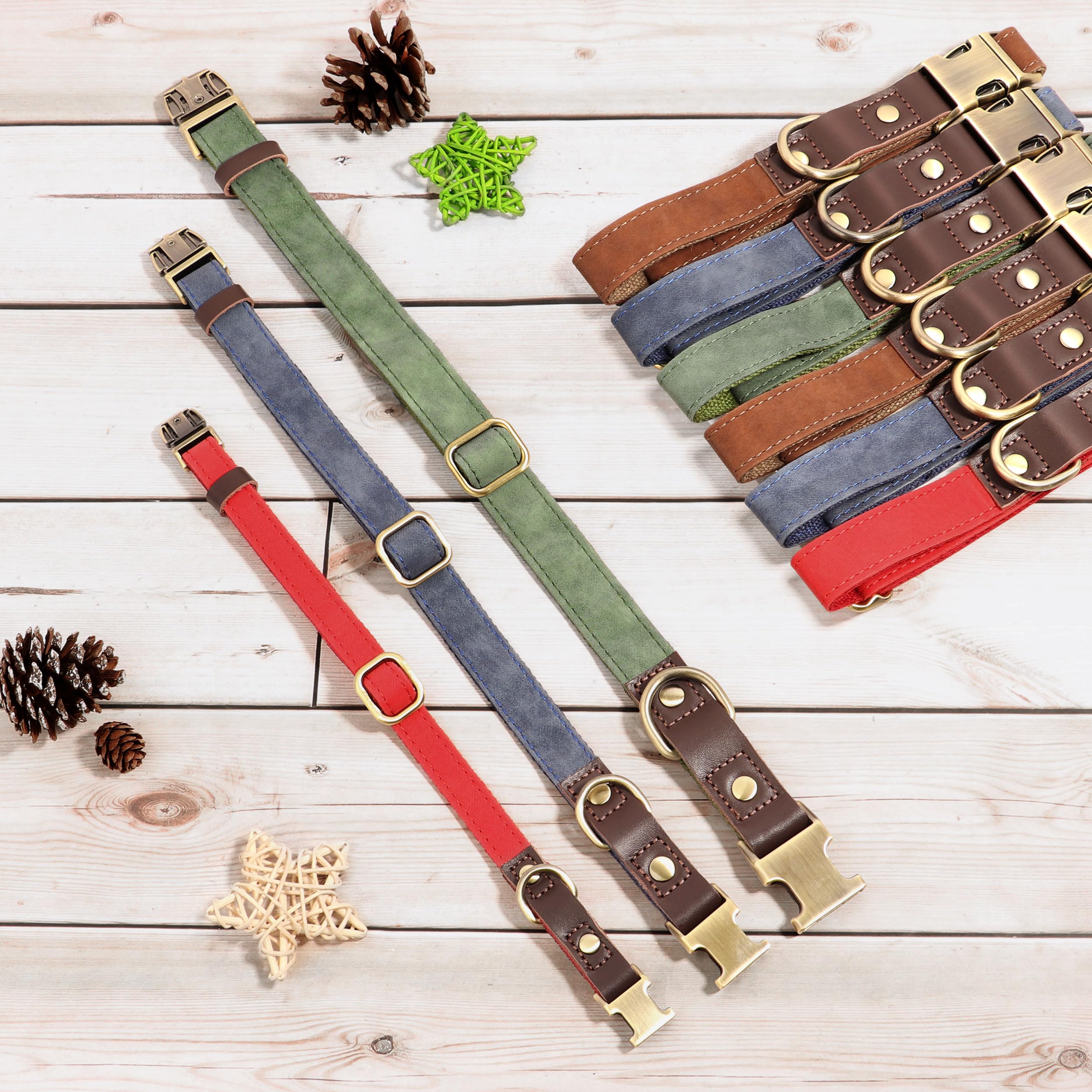 Didog olive-green collar worn during park walks