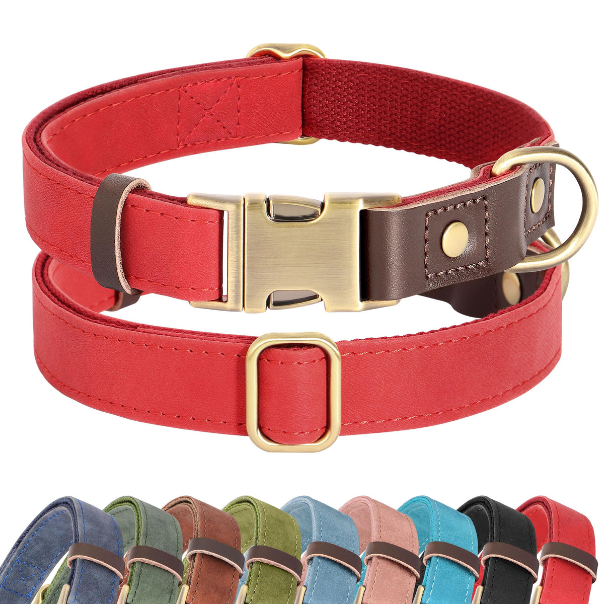Didog soft PU leather dog collar in red on a small dog for everyday wear