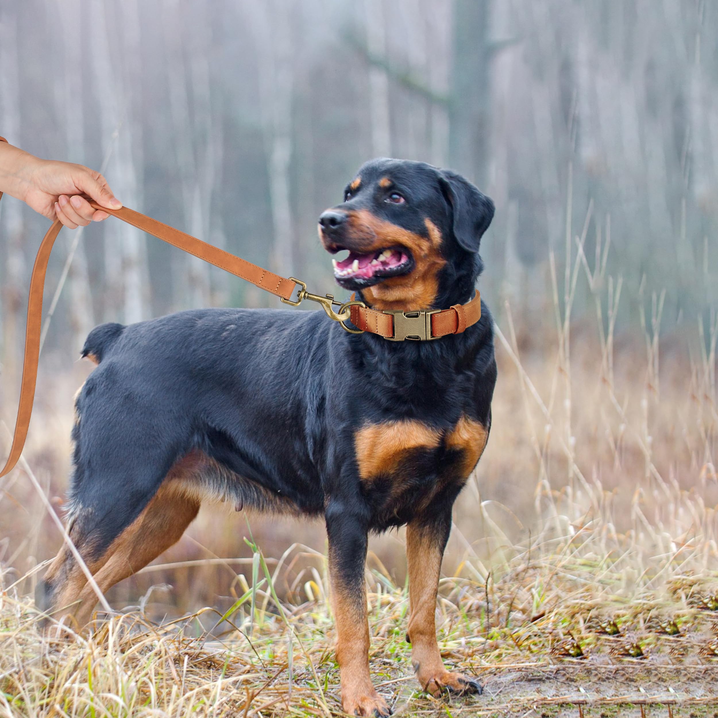 Didog soft PU leather dog collar side view highlighting comfortable fit