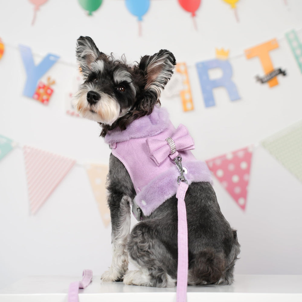 Didog winter plush collar removable for easy warmth control during indoor strolls