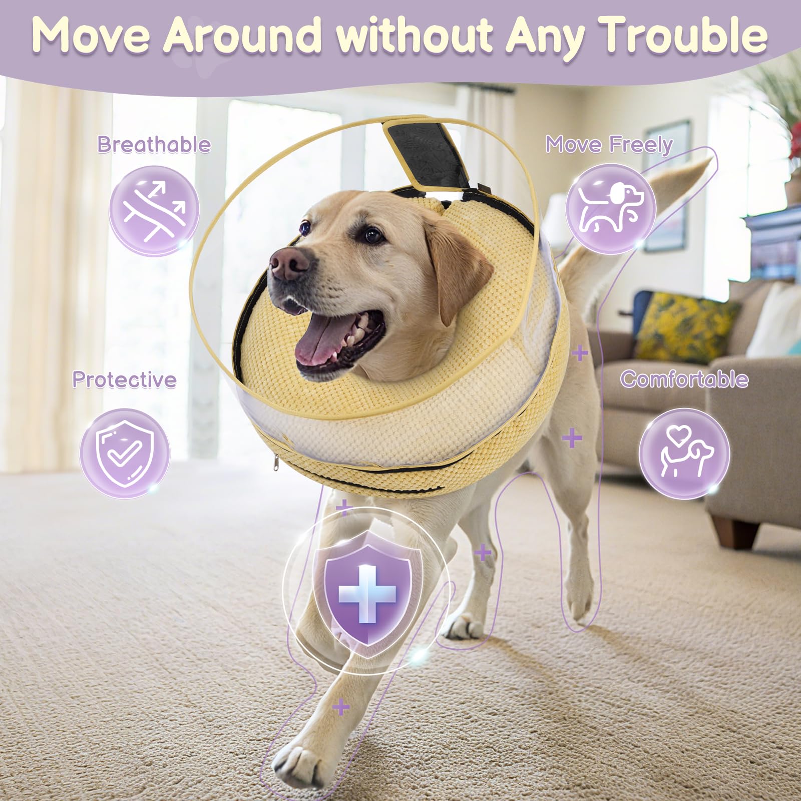 Didopet breathable removable cover offers easy cleaning and comfort during healing.