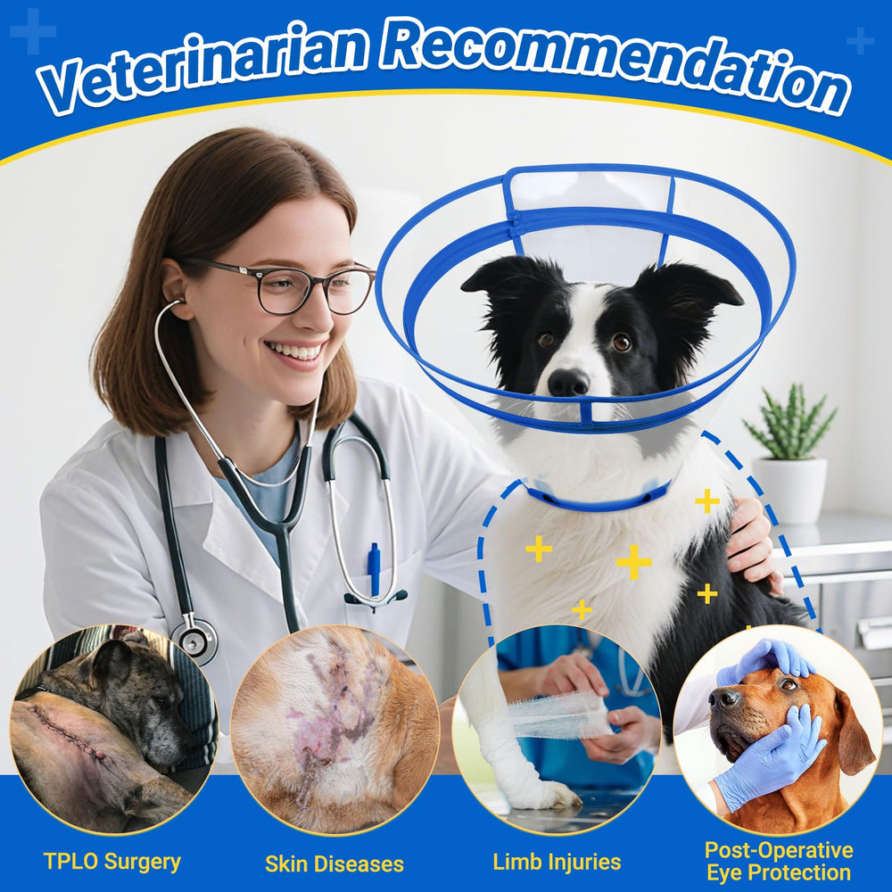 Didopet care-friendly cone is easy to clean and hygienic