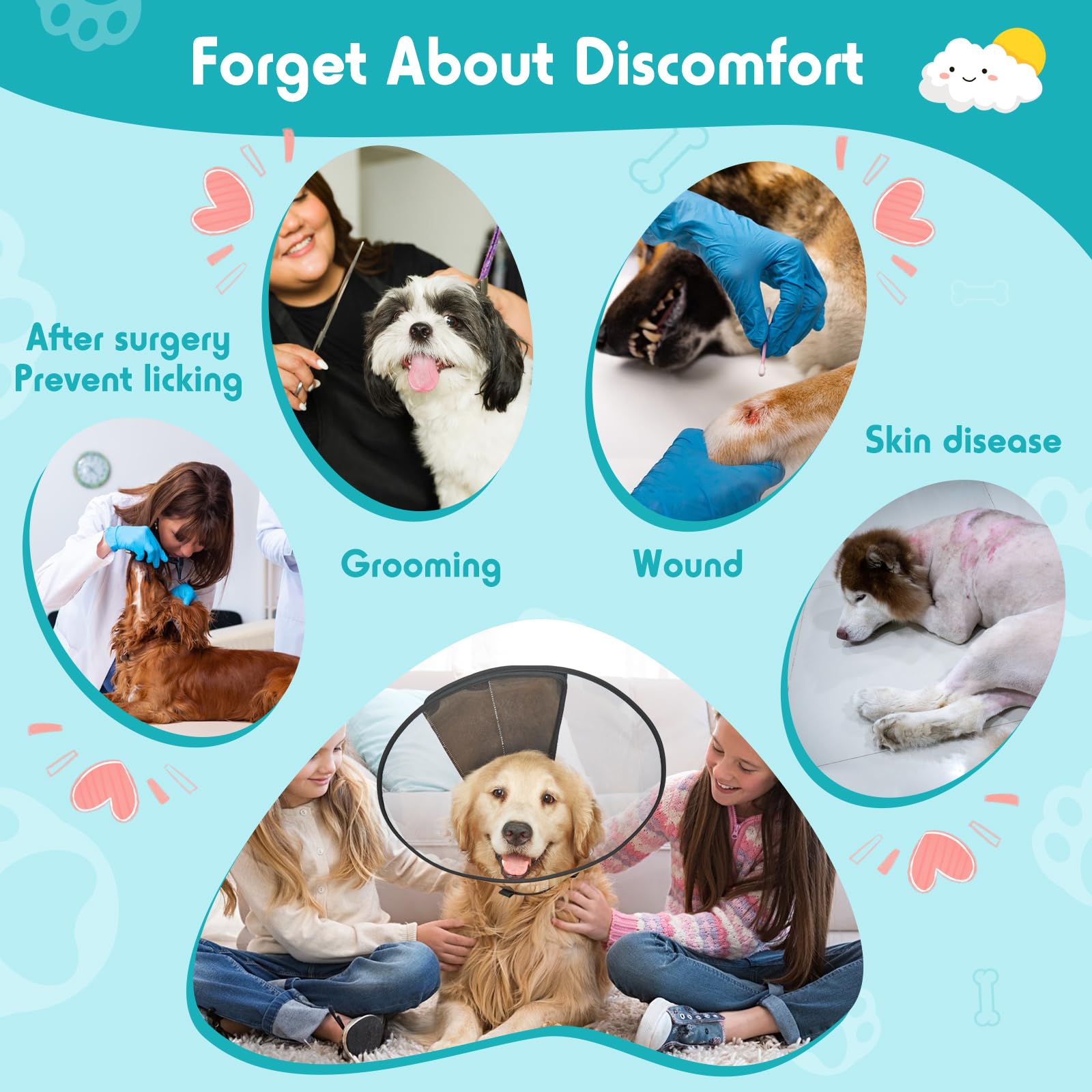 Didopet care tips show reshaping and storage guidance.