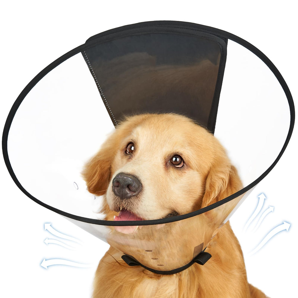 Didopet dog cone collar in transparent view supports unobstructed eating and drinking.