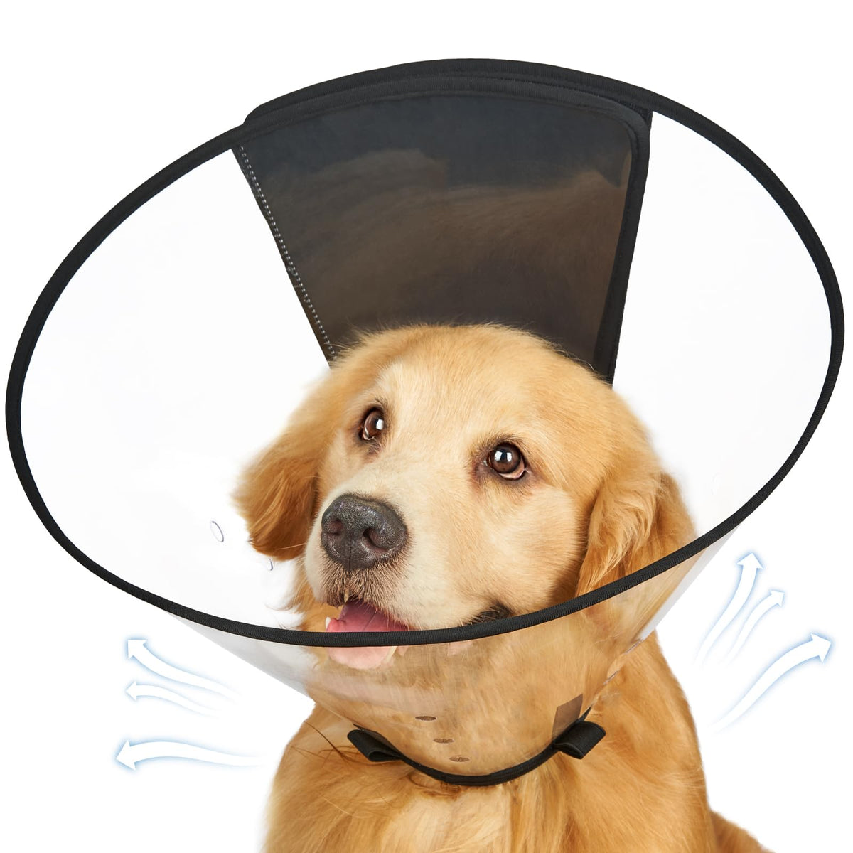 Didopet dog cone collar in transparent view supports unobstructed eating and drinking.