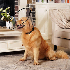 Didopet cone collar ventilation holes promote cool, comfortable wear.