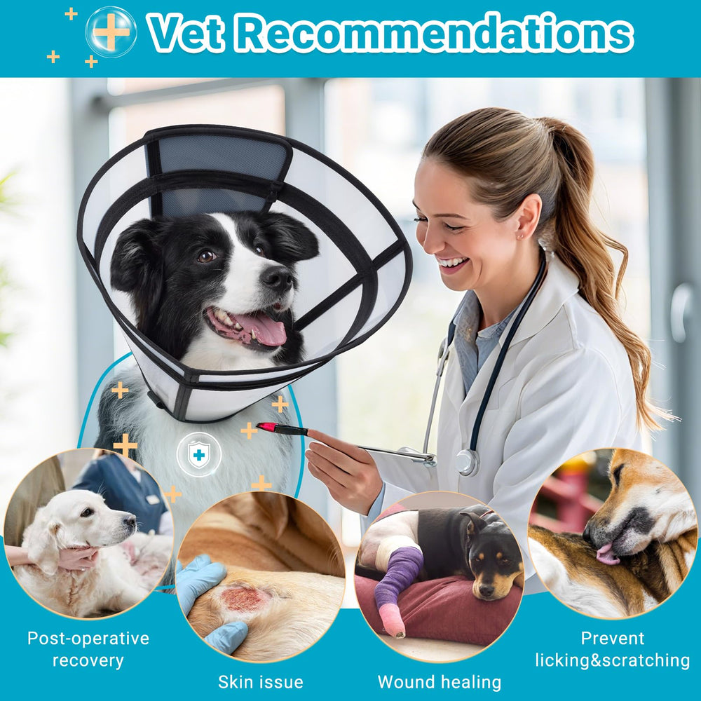 Didopet dog cone easy care instructions highlighting maintenance tips