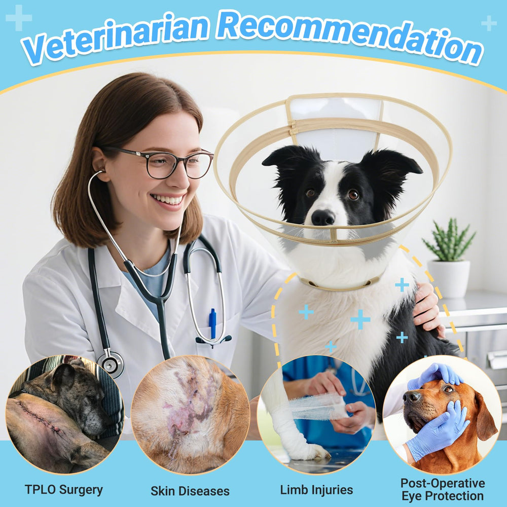 Didopet cone design accommodates drinking and eating during recovery.