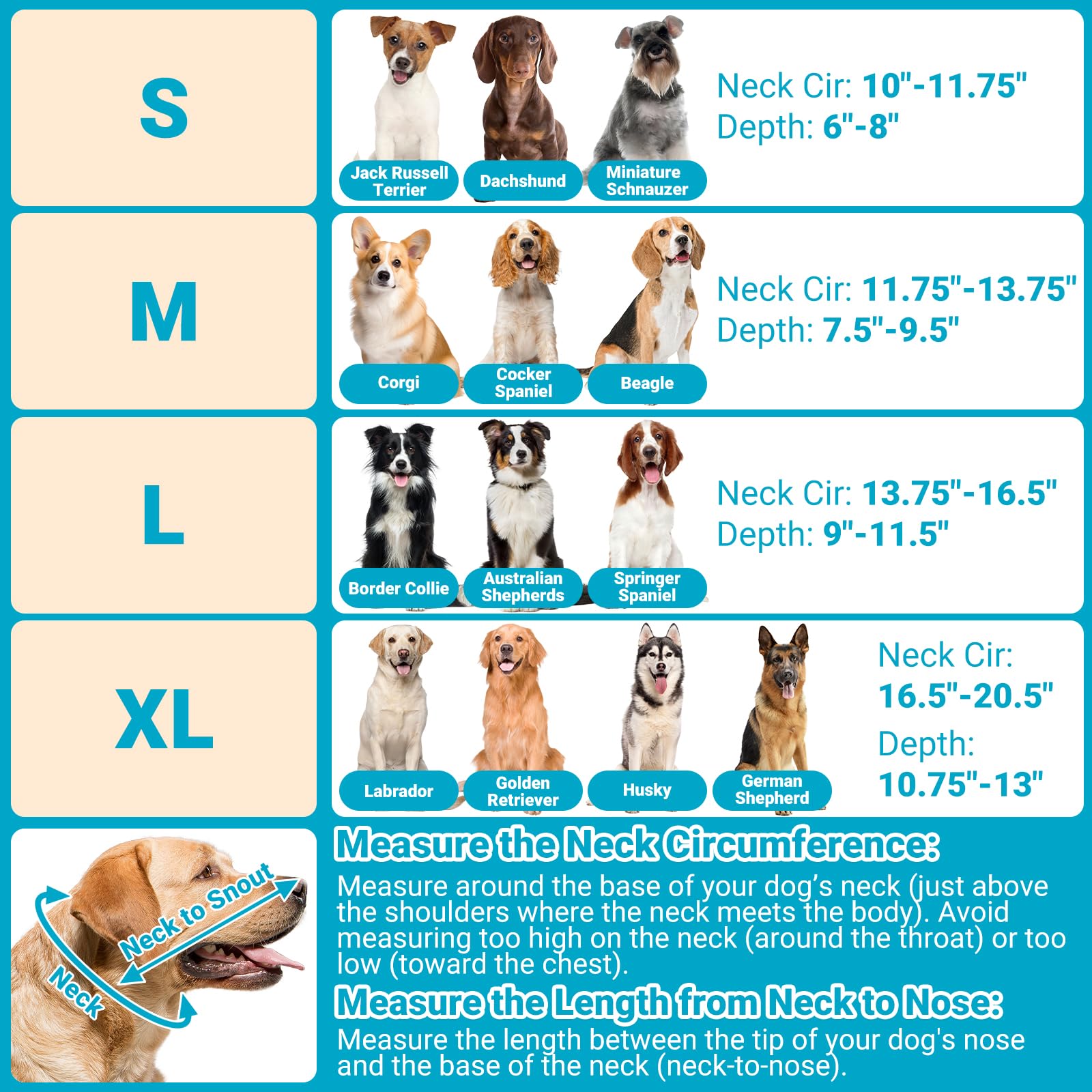 Didopet dog cone elastic loops secure daily collar for stability