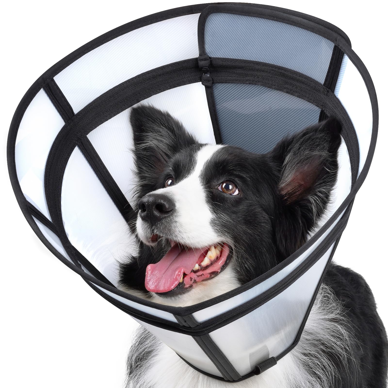 Didopet dog cone transparent shield showing clear visibility for calmer recovery