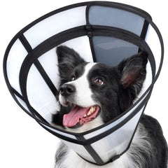 Didopet dog cone transparent shield showing clear visibility for calmer recovery