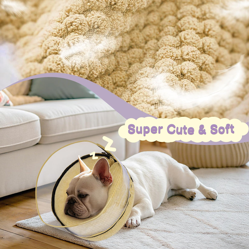 Didopet donut collar on a dog demonstrates protection from licking wounds.
