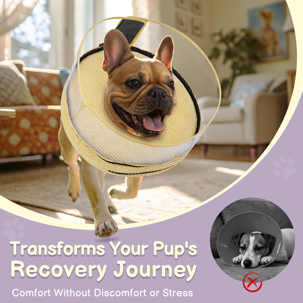 Didopet protective shield close-up highlights barrier reducing direct contact with wounds.